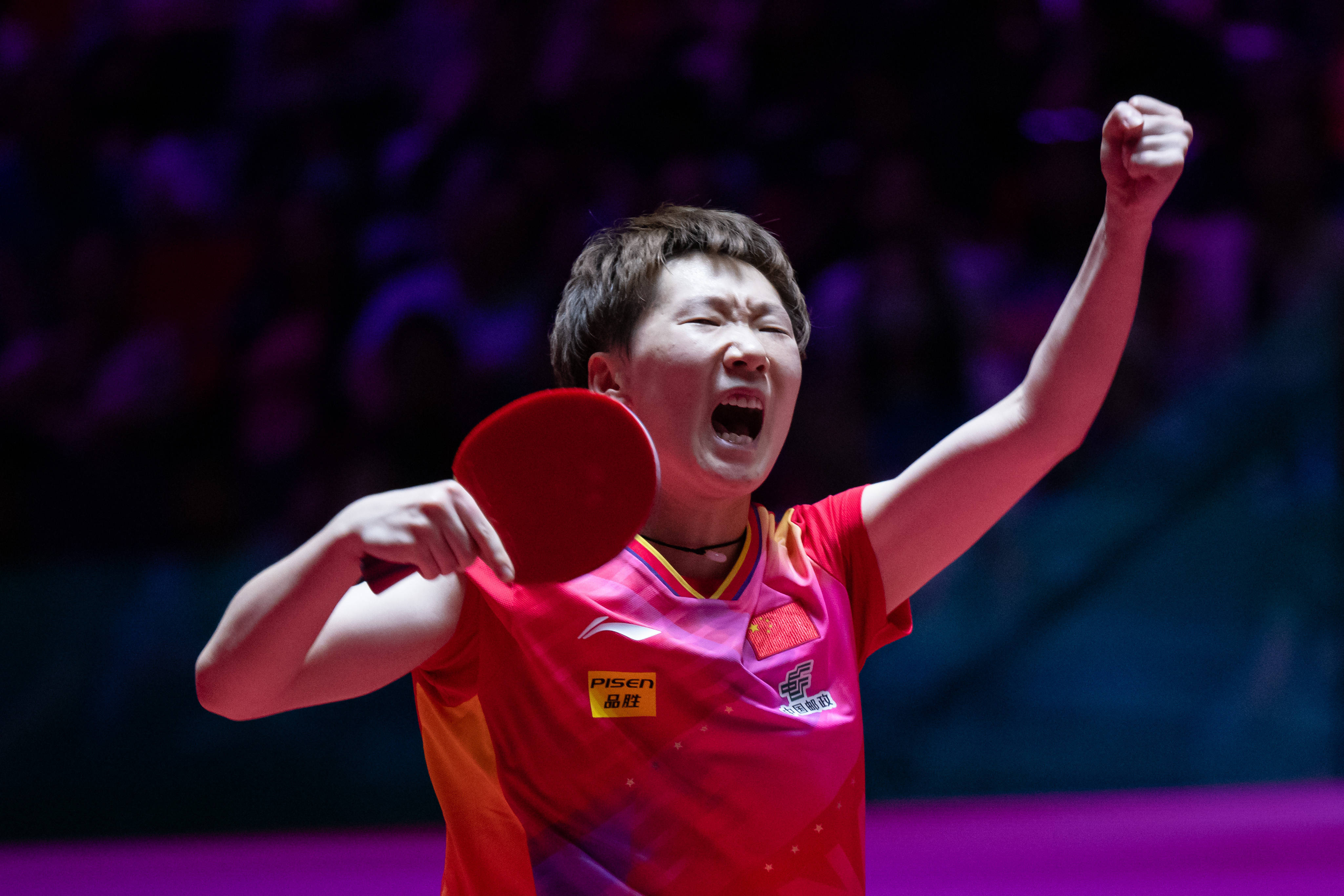 自从引入上 自从引入上