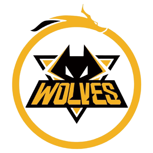 完全印证了 完全印证了